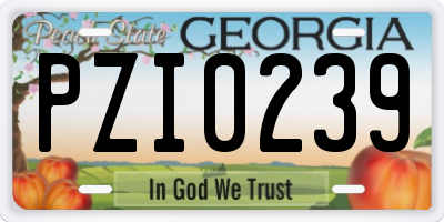 GA license plate PZI0239