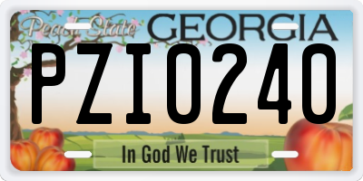 GA license plate PZI0240