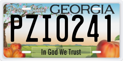 GA license plate PZI0241