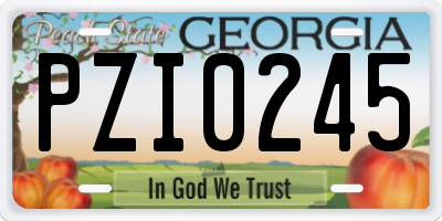 GA license plate PZI0245