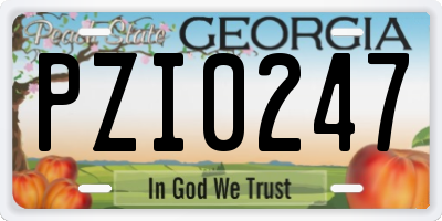 GA license plate PZI0247