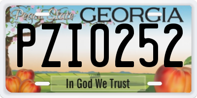 GA license plate PZI0252