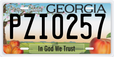 GA license plate PZI0257