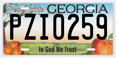 GA license plate PZI0259