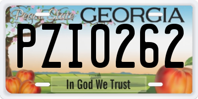GA license plate PZI0262