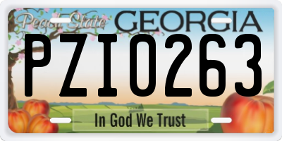 GA license plate PZI0263