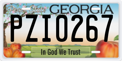 GA license plate PZI0267