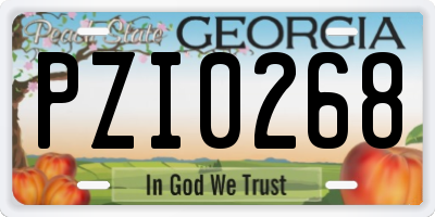 GA license plate PZI0268