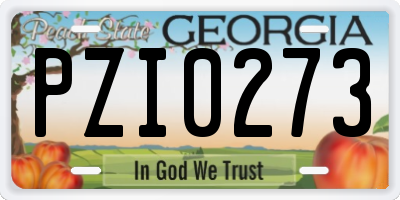 GA license plate PZI0273