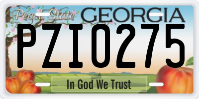 GA license plate PZI0275