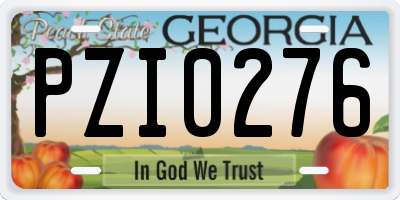 GA license plate PZI0276