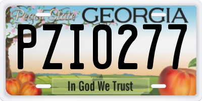 GA license plate PZI0277