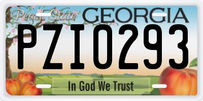 GA license plate PZI0293