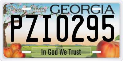 GA license plate PZI0295