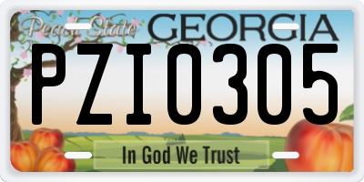 GA license plate PZI0305
