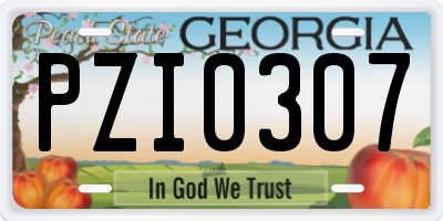 GA license plate PZI0307