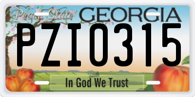 GA license plate PZI0315