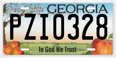 GA license plate PZI0328