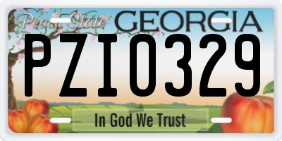 GA license plate PZI0329