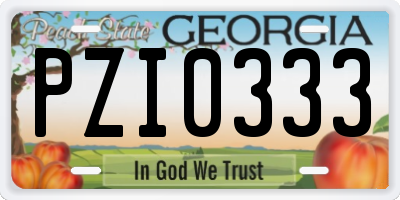 GA license plate PZI0333