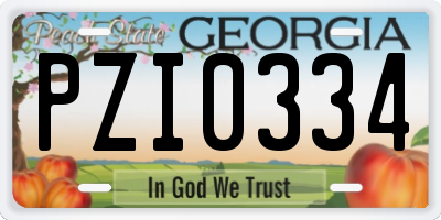 GA license plate PZI0334