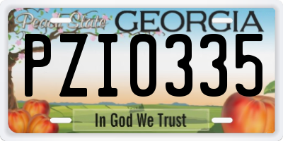 GA license plate PZI0335