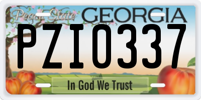 GA license plate PZI0337