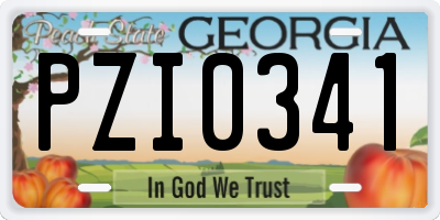 GA license plate PZI0341