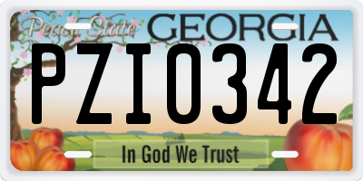 GA license plate PZI0342