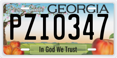 GA license plate PZI0347