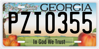GA license plate PZI0355