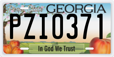 GA license plate PZI0371
