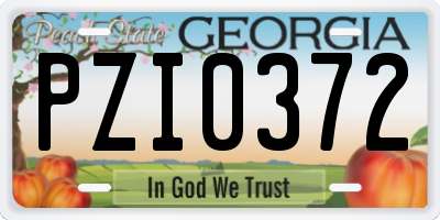 GA license plate PZI0372