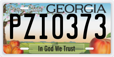 GA license plate PZI0373