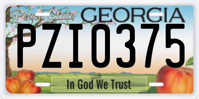 GA license plate PZI0375