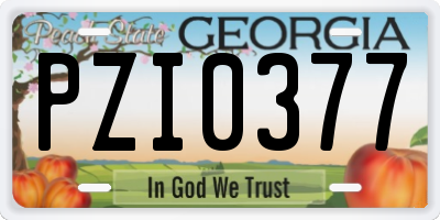 GA license plate PZI0377