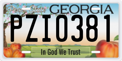 GA license plate PZI0381