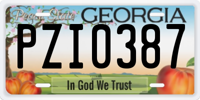 GA license plate PZI0387