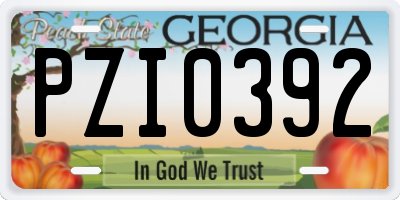 GA license plate PZI0392