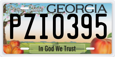 GA license plate PZI0395