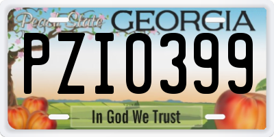 GA license plate PZI0399
