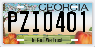 GA license plate PZI0401