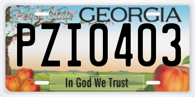GA license plate PZI0403