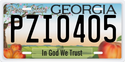 GA license plate PZI0405