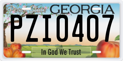 GA license plate PZI0407