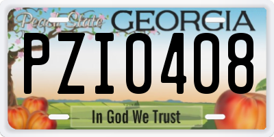 GA license plate PZI0408