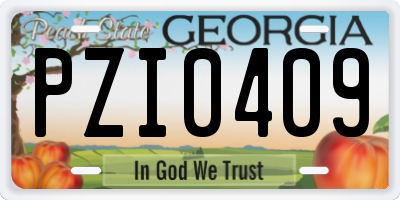 GA license plate PZI0409