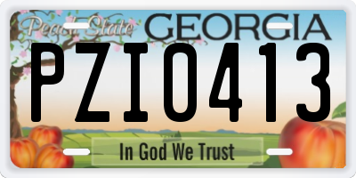 GA license plate PZI0413
