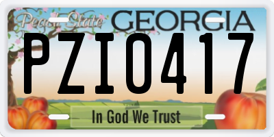 GA license plate PZI0417