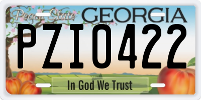 GA license plate PZI0422